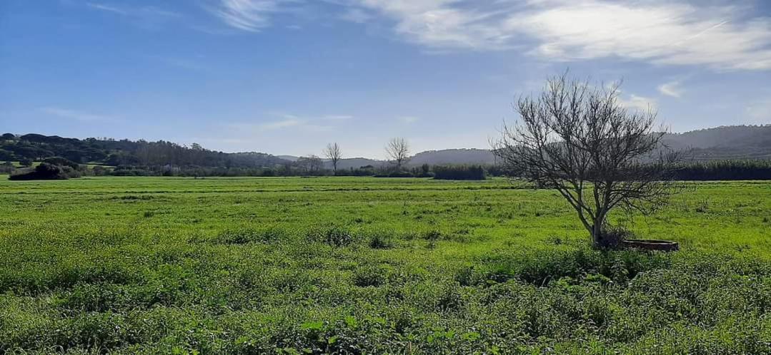 Guesthouse A Lareira Aljezur Kültér fotó